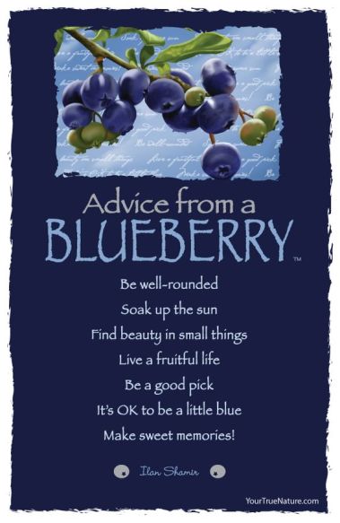 advice blueberries