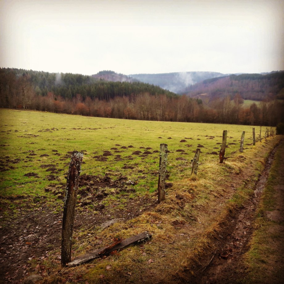 IMG_20180309_172713_431