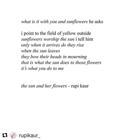 Image result for rupi kaur what is it with you and sunflowers